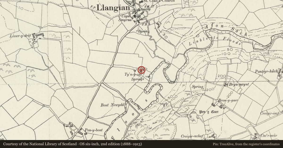 Ordnance Survey six-inch map, 2nd edition (1888–1913) covering the location of Ty'n-y-cae, Llanengan, Gwynedd, with a pin at the register's coordinates