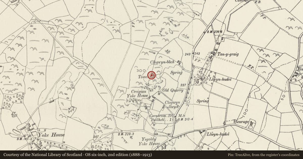 Ordnance Survey six-inch map, 2nd edition (1888–1913) covering the location of Clogwyn Tower, Llannor, Gwynedd, with a pin at the register's coordinates