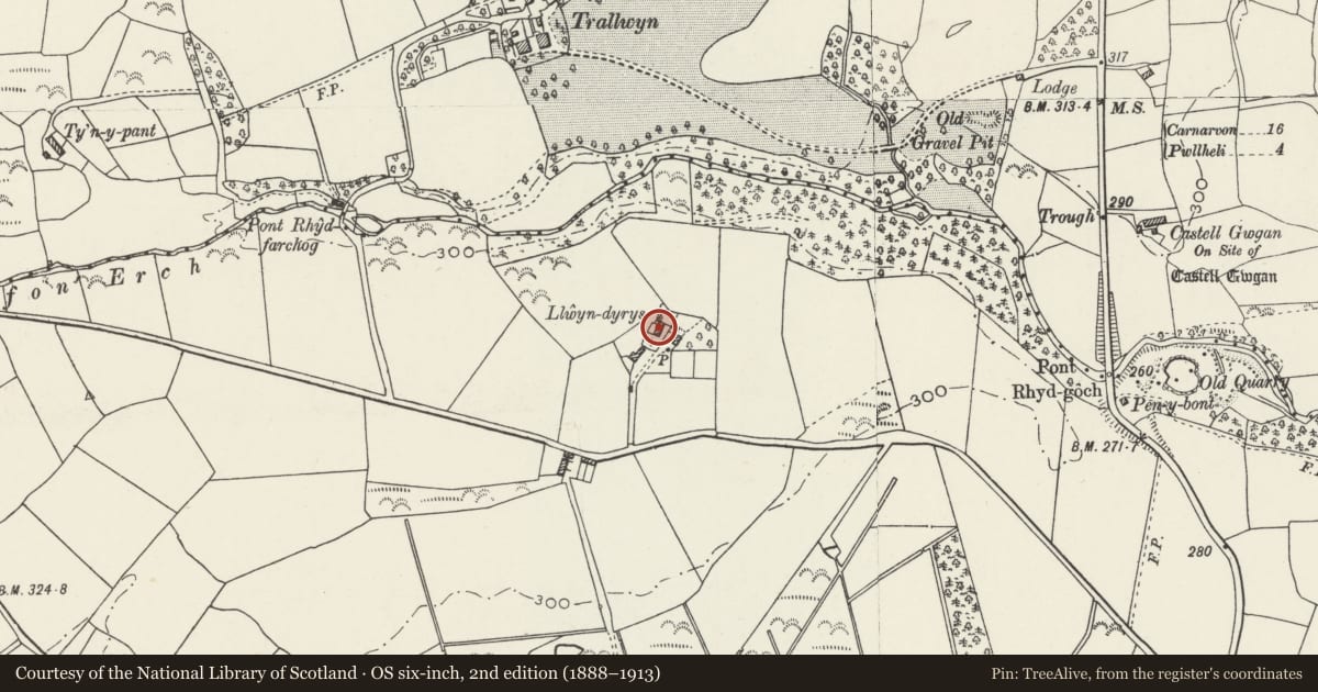 Ordnance Survey six-inch map, 2nd edition (1888–1913) covering the location of Llwyndyrus, Llannor, Gwynedd, with a pin at the register's coordinates