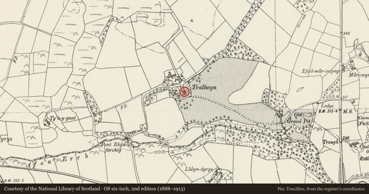 Ordnance Survey six-inch map, 2nd edition (1888–1913) covering the location of Trallwyn Hall, Llannor, Gwynedd, with a pin at the register's coordinates
