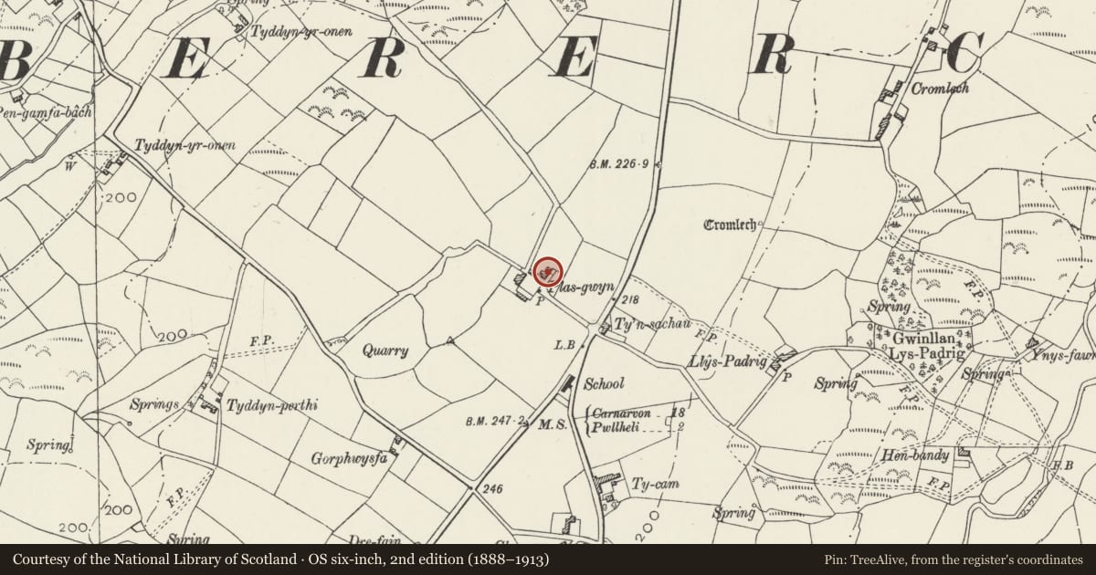 Ordnance Survey six-inch map, 2nd edition (1888–1913) covering the location of Plas-gwyn, Llannor, Gwynedd, with a pin at the register's coordinates