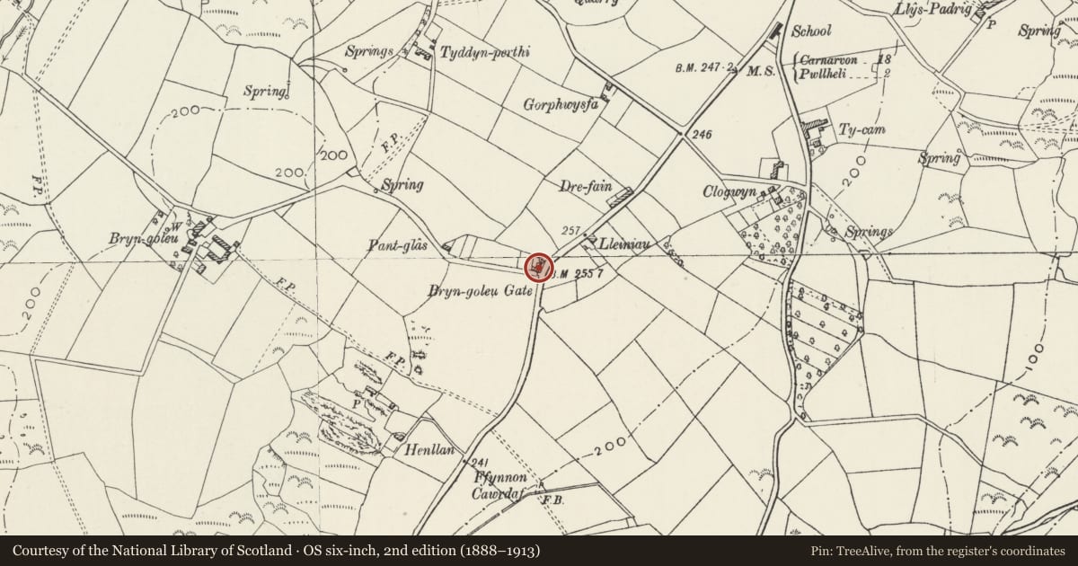 Ordnance Survey six-inch map, 2nd edition (1888–1913) covering the location of Arosfa, Llannor, Gwynedd, with a pin at the register's coordinates