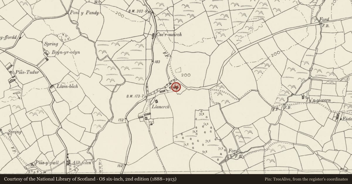 Ordnance Survey six-inch map, 2nd edition (1888–1913) covering the location of Llannerch, Llannor, Gwynedd, with a pin at the register's coordinates