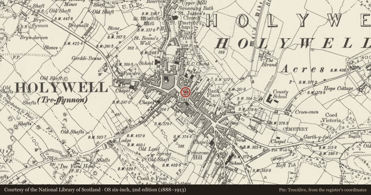 Ordnance Survey six-inch map, 2nd edition (1888–1913) covering the location of 17, Midland Bank (including Bank chambers), Holywell, Flintshire, with a pin at the register's coordinates