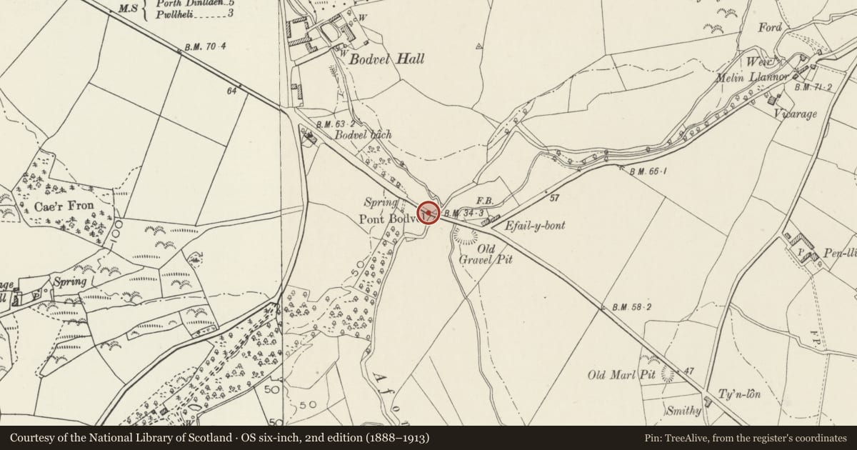 Ordnance Survey six-inch map, 2nd edition (1888–1913) covering the location of Pont Bodfel, Llannor, Gwynedd, with a pin at the register's coordinates