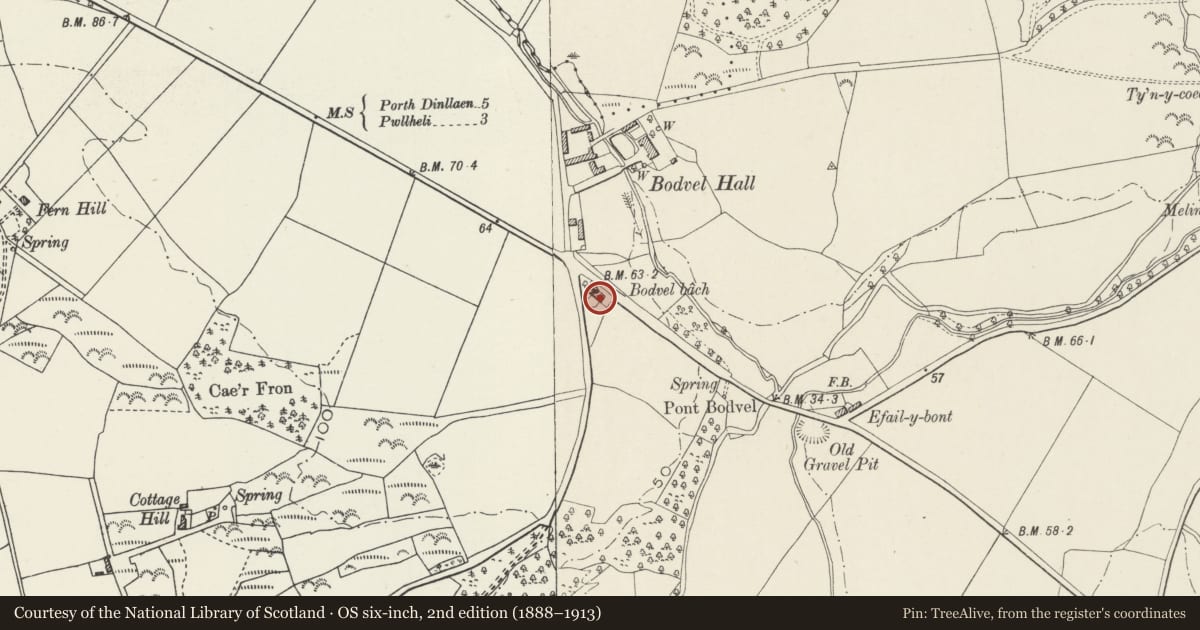 Ordnance Survey six-inch map, 2nd edition (1888–1913) covering the location of Bodfel-bach, Llannor, Gwynedd, with a pin at the register's coordinates