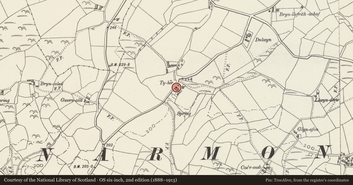 Ordnance Survey six-inch map, 2nd edition (1888–1913) covering the location of Ty-Hir, Llanystumdwy, Gwynedd, with a pin at the register's coordinates