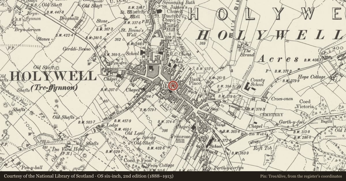 Ordnance Survey six-inch map, 2nd edition (1888–1913) covering the location of 25, Holywell, Flintshire, with a pin at the register's coordinates