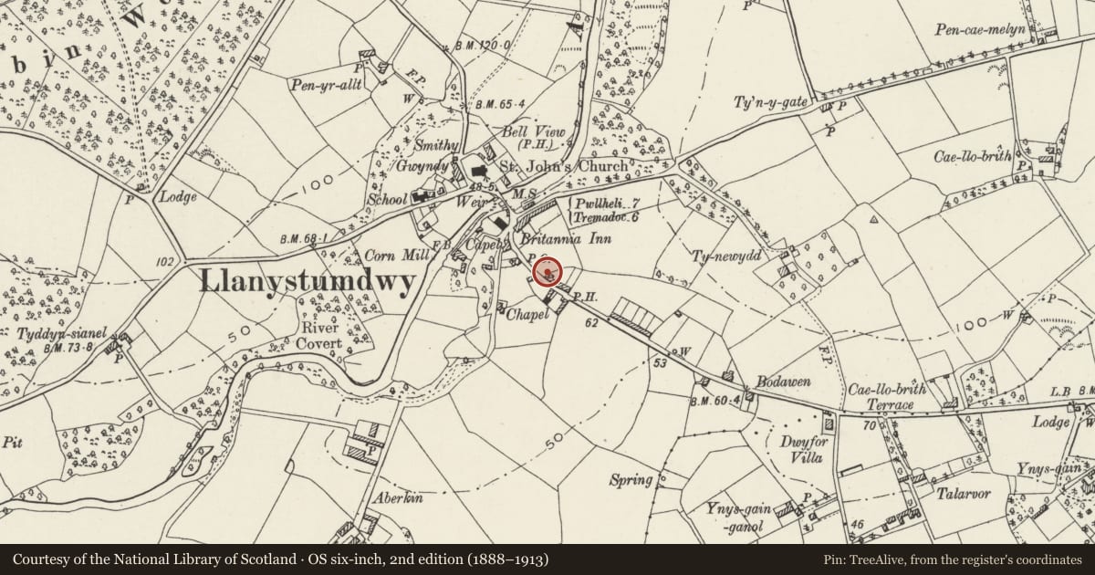 Ordnance Survey six-inch map, 2nd edition (1888–1913) covering the location of Tai Newyddion, Llanystumdwy, Gwynedd, with a pin at the register's coordinates