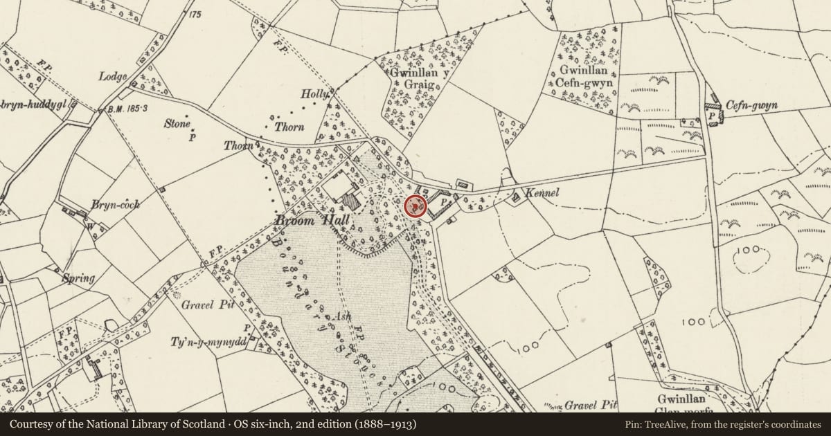 Ordnance Survey six-inch map, 2nd edition (1888–1913) covering the location of Towered Gatehouse to Broom Hall, Llanystumdwy, Gwynedd, with a pin at the register's coordinates
