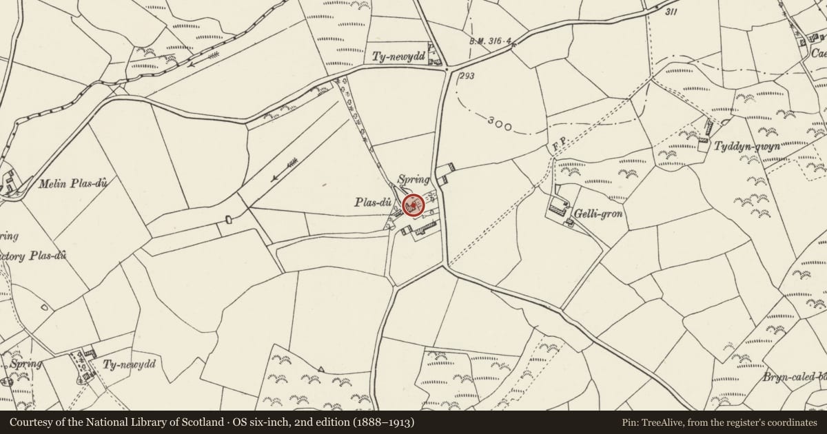 Ordnance Survey six-inch map, 2nd edition (1888–1913) covering the location of Plas-du, Llanystumdwy, Gwynedd, with a pin at the register's coordinates