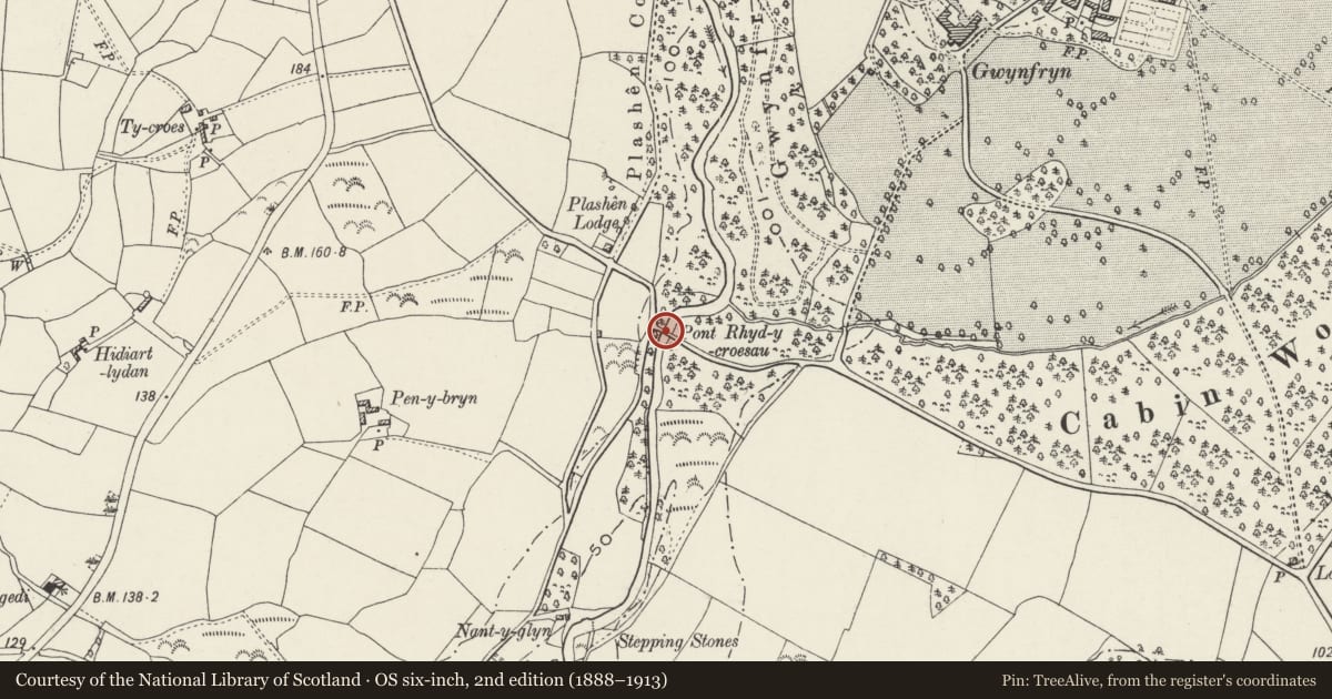 Ordnance Survey six-inch map, 2nd edition (1888–1913) covering the location of Pont Rhyd-y-croesau, Llanystumdwy, Gwynedd, with a pin at the register's coordinates