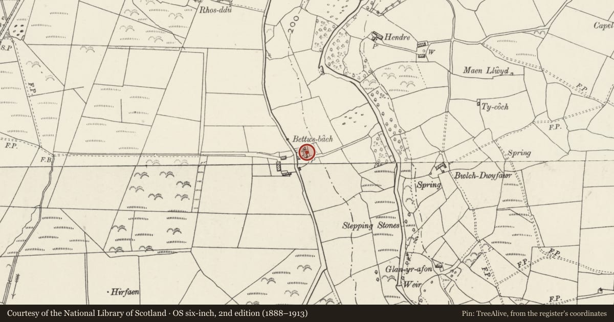 Ordnance Survey six-inch map, 2nd edition (1888–1913) covering the location of Betws-bach, Llanystumdwy, Gwynedd, with a pin at the register's coordinates
