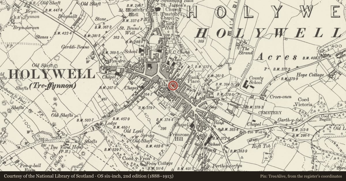 Ordnance Survey six-inch map, 2nd edition (1888–1913) covering the location of 29, Holywell, Flintshire, with a pin at the register's coordinates
