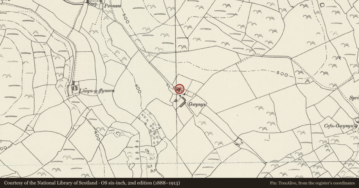 Ordnance Survey six-inch map, 2nd edition (1888–1913) covering the location of Gwynus, Pistyll, Gwynedd, with a pin at the register's coordinates