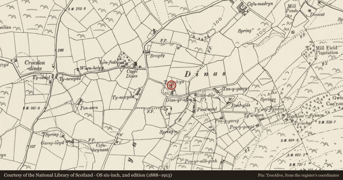 Ordnance Survey six-inch map, 2nd edition (1888–1913) covering the location of Ty Bwlcyn, Tudweiliog, Gwynedd, with a pin at the register's coordinates