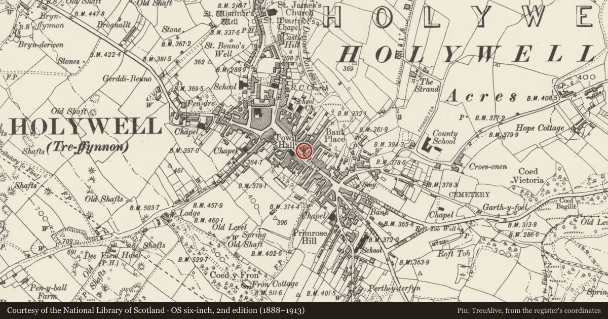 Ordnance Survey six-inch map, 2nd edition (1888–1913) covering the location of 3 (The Apple Tree), Holywell, Flintshire, with a pin at the register's coordinates