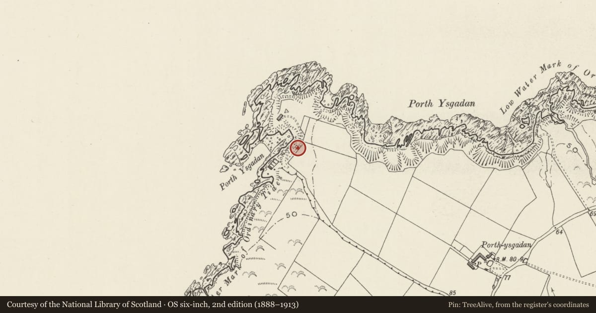 Ordnance Survey six-inch map, 2nd edition (1888–1913) covering the location of Lime Kiln, Tudweiliog, Gwynedd, with a pin at the register's coordinates
