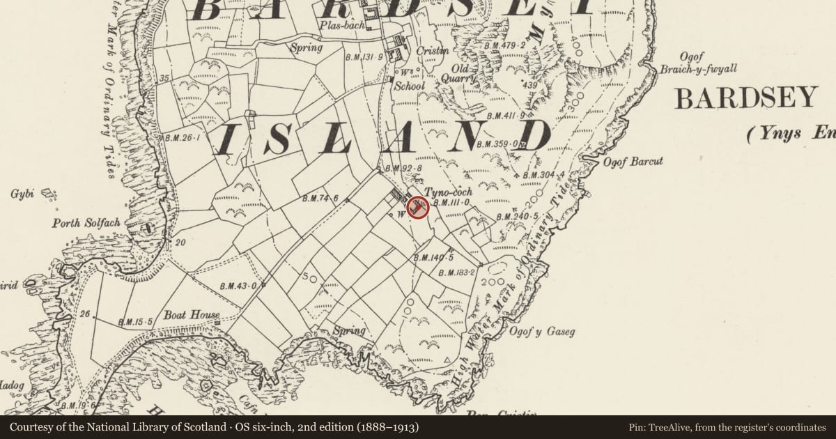 Ordnance Survey six-inch map, 2nd edition (1888–1913) covering the location of Walled Court to Rhedynog Goch and Ty Pellaf, Aberdaron, Gwynedd, with a pin at the register's coordinates