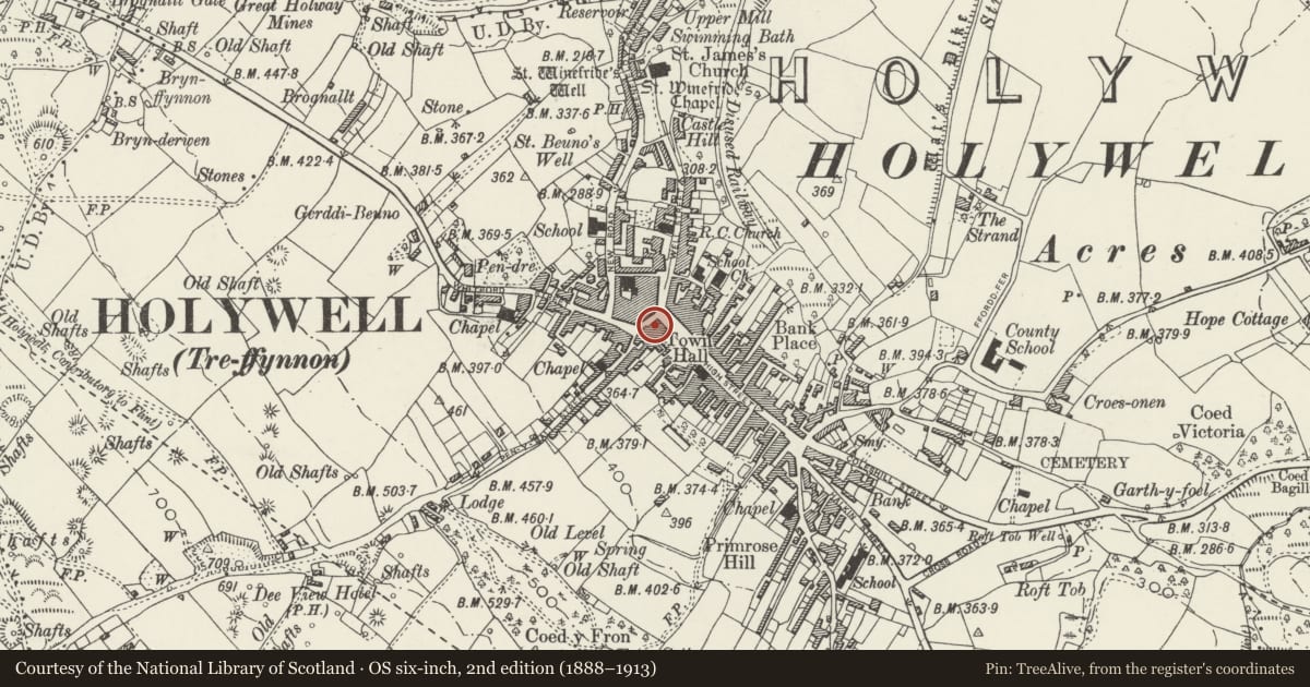 Ordnance Survey six-inch map, 2nd edition (1888–1913) covering the location of 2, Holywell, Flintshire, with a pin at the register's coordinates