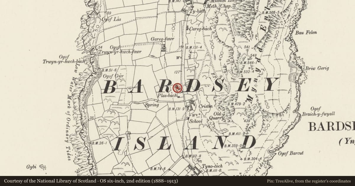 Ordnance Survey six-inch map, 2nd edition (1888–1913) covering the location of Walled Court at Plas Bach with attached field walls to S, Aberdaron, Gwynedd, with a pin at the register's coordinates