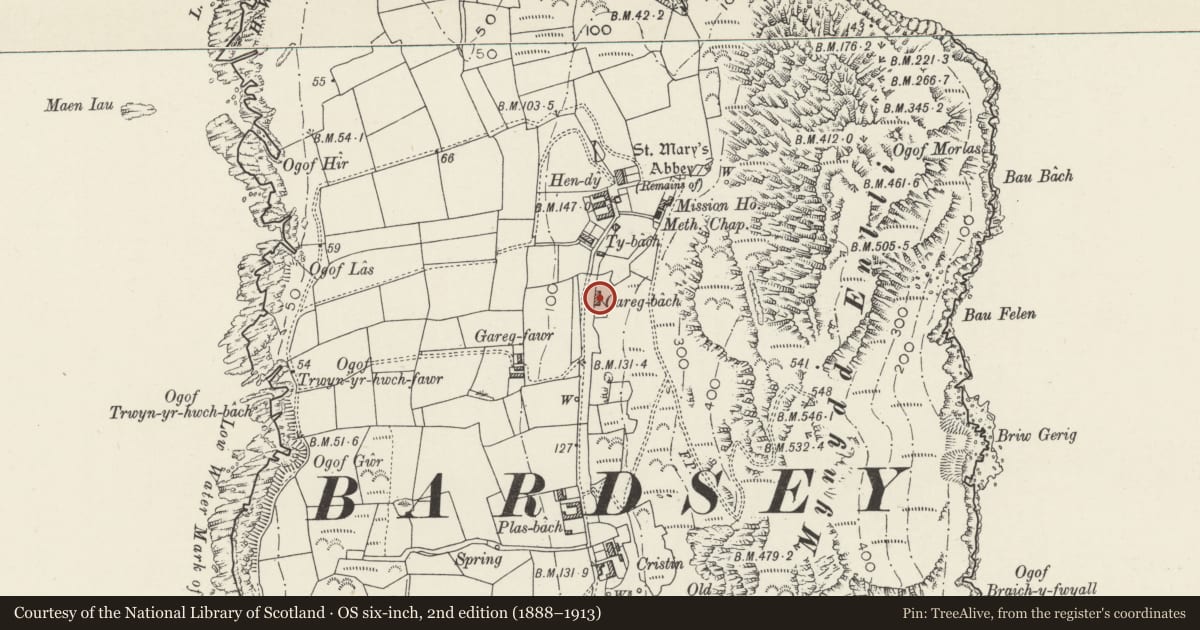 Ordnance Survey six-inch map, 2nd edition (1888–1913) covering the location of Carreg Bach, Aberdaron, Gwynedd, with a pin at the register's coordinates