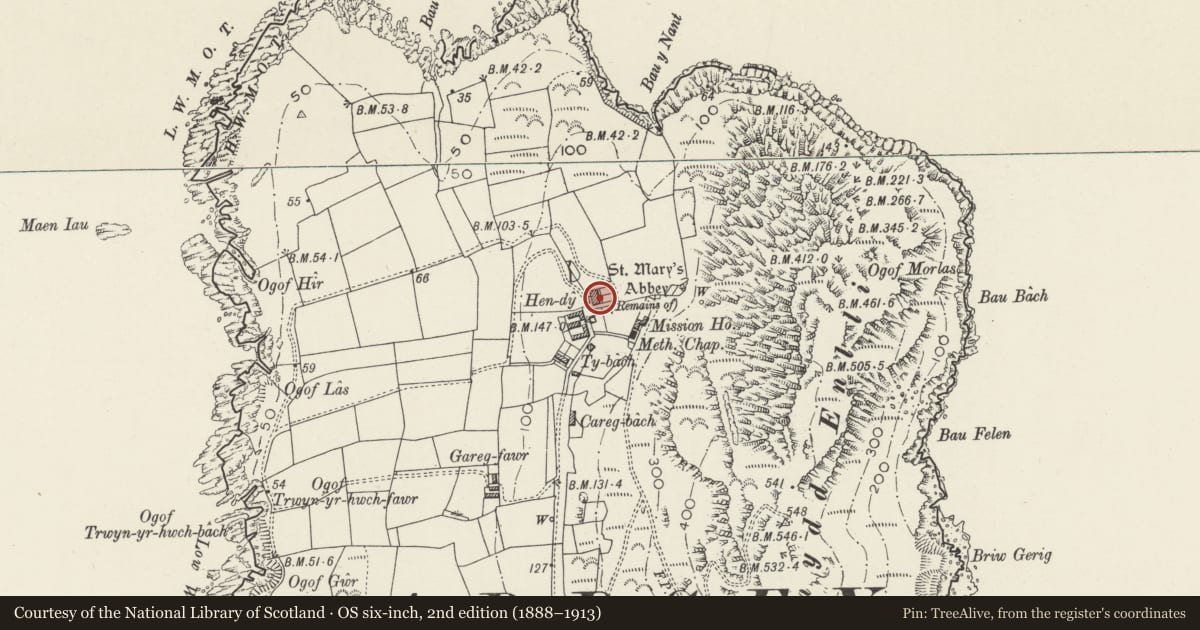 Ordnance Survey six-inch map, 2nd edition (1888–1913) covering the location of Hendy and Ty Nant, Aberdaron, Gwynedd, with a pin at the register's coordinates