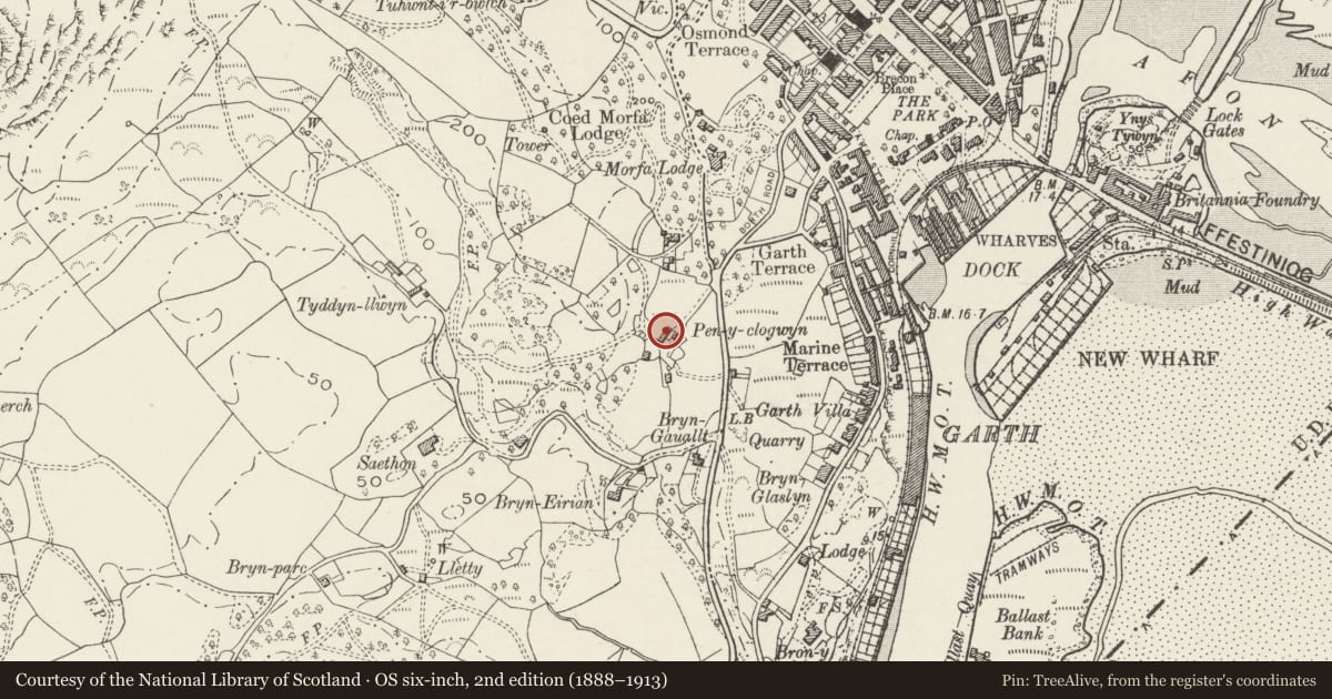 Ordnance Survey six-inch map, 2nd edition (1888–1913) covering the location of Pen-y-clogwyn, including attached farm building, Porthmadog, Gwynedd, with a pin at the register's coordinates