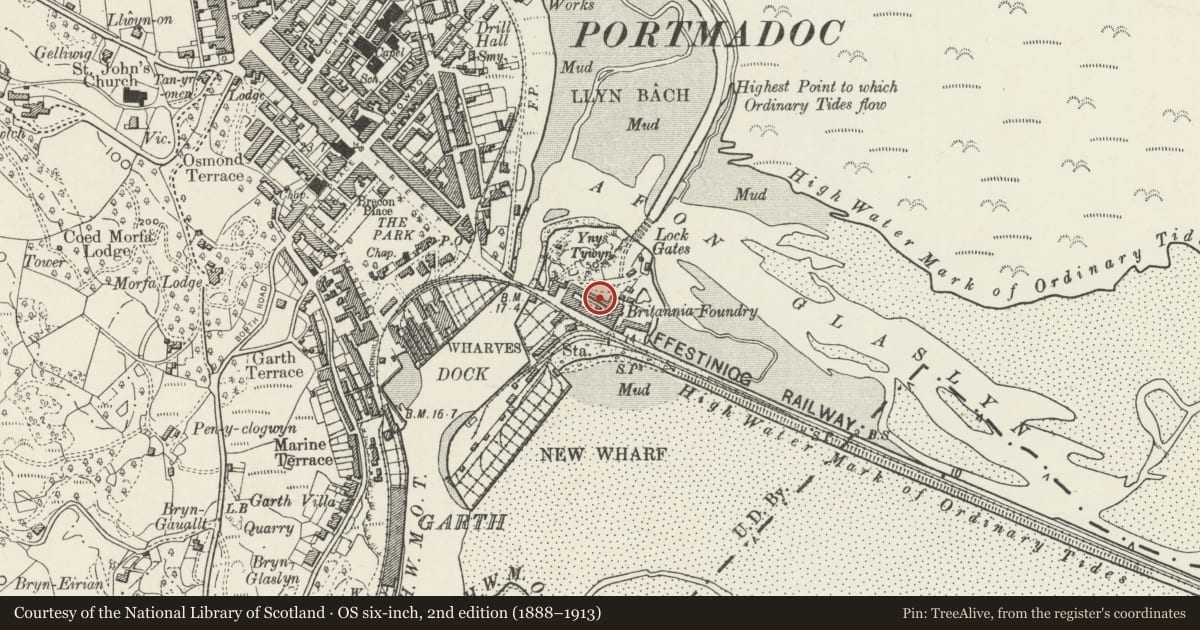 Ordnance Survey six-inch map, 2nd edition (1888–1913) covering the location of Plas Ne Ne, Porthmadog, Gwynedd, with a pin at the register's coordinates