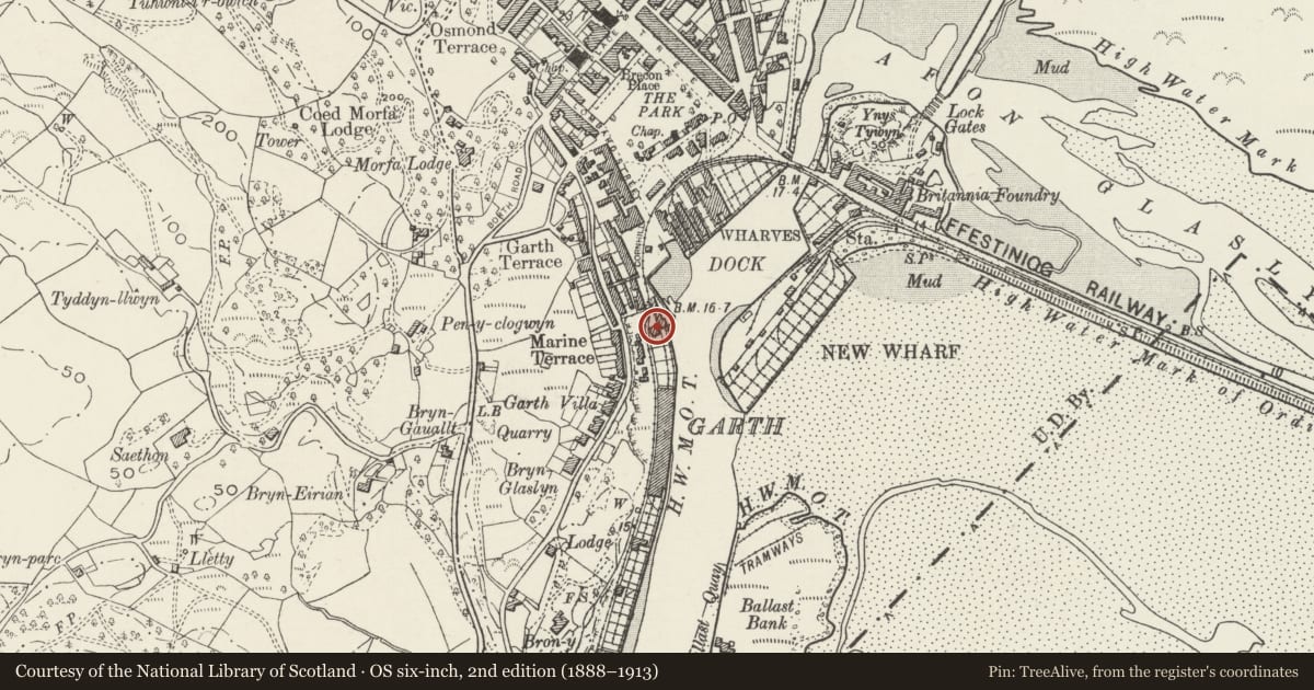 Ordnance Survey six-inch map, 2nd edition (1888–1913) covering the location of Harbour Side, including attached gate piers and wall, Porthmadog, Gwynedd, with a pin at the register's coordinates