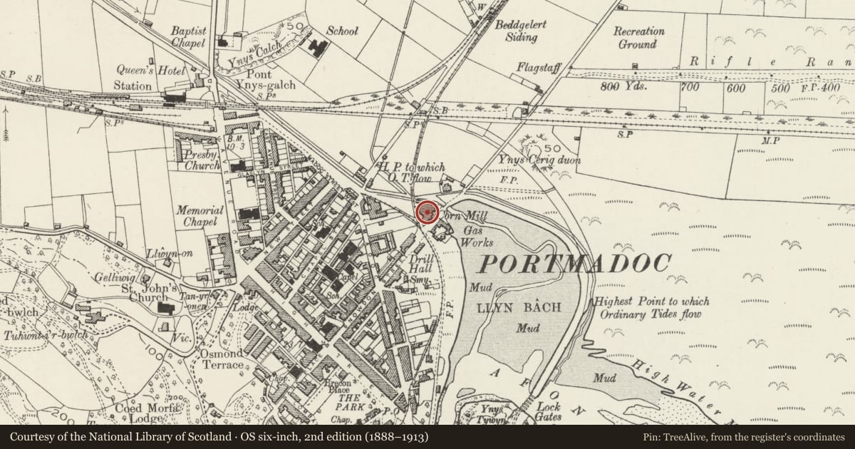 Ordnance Survey six-inch map, 2nd edition (1888–1913) covering the location of Snowdon Mill and Ty'r Felin, Porthmadog, Gwynedd, with a pin at the register's coordinates