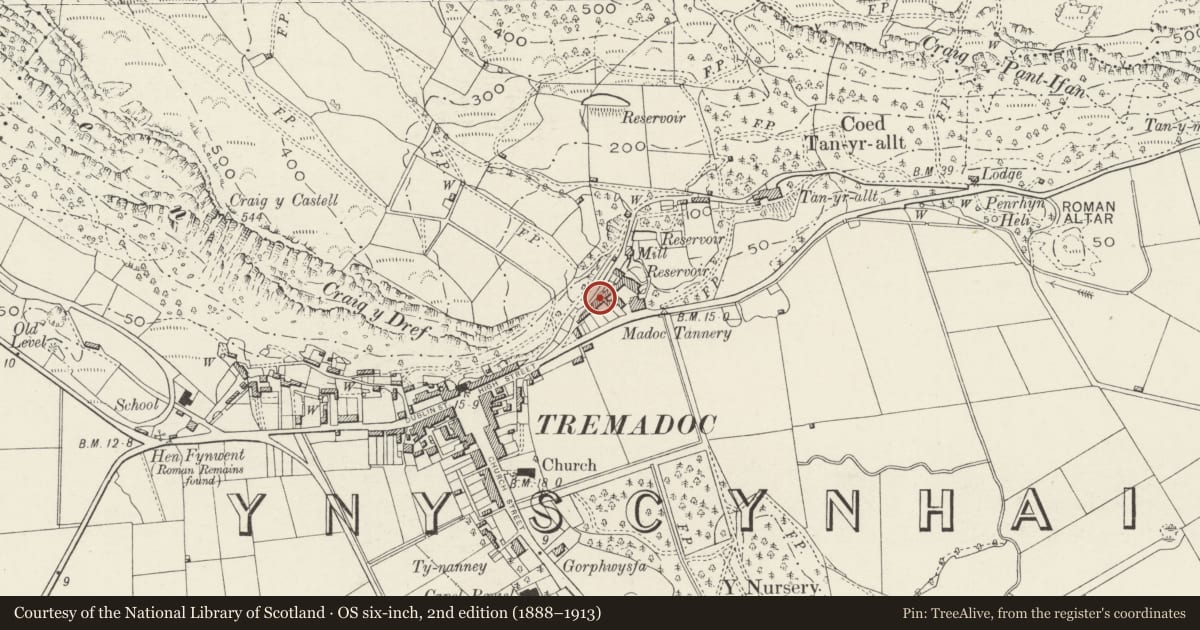 Ordnance Survey six-inch map, 2nd edition (1888–1913) covering the location of Bronhaul, Porthmadog, Gwynedd, with a pin at the register's coordinates