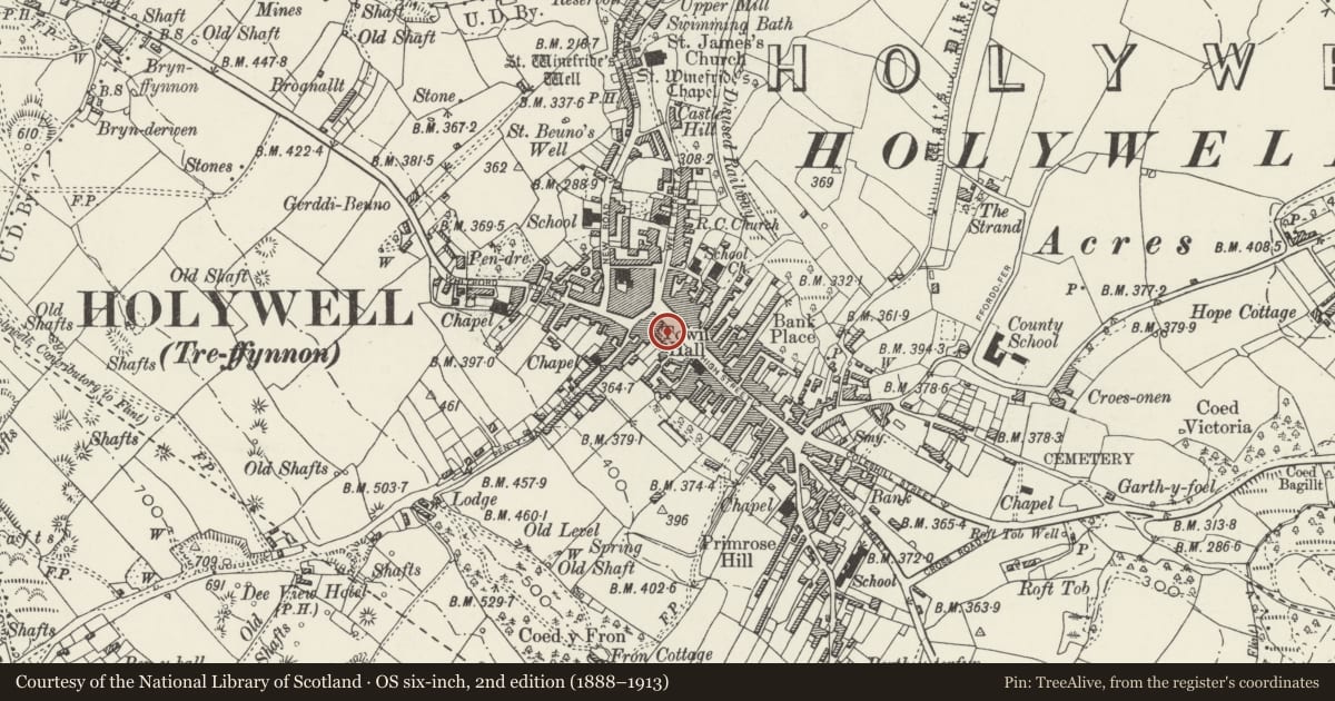 Ordnance Survey six-inch map, 2nd edition (1888–1913) covering the location of 12, Holywell, Flintshire, with a pin at the register's coordinates
