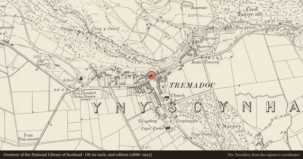 Ordnance Survey six-inch map, 2nd edition (1888–1913) covering the location of Market Hall (Siola), Porthmadog, Gwynedd, with a pin at the register's coordinates