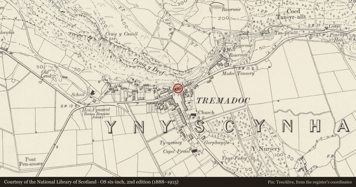 Ordnance Survey six-inch map, 2nd edition (1888–1913) covering the location of 1 Sgwar y Farchnad (High Street), Porthmadog, Gwynedd, with a pin at the register's coordinates