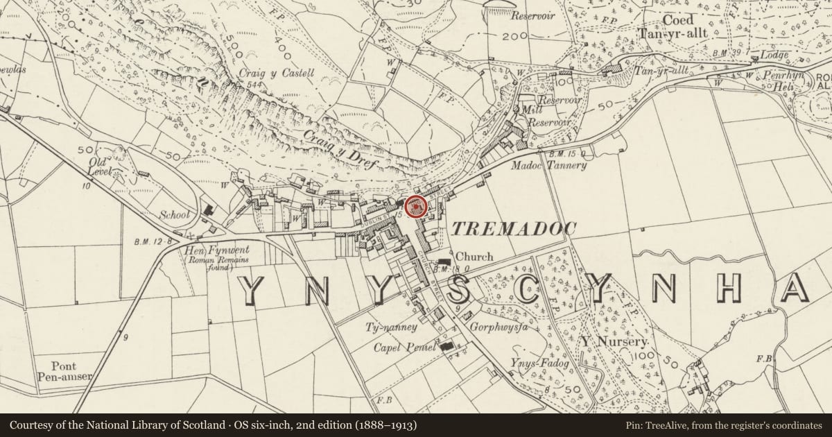 Ordnance Survey six-inch map, 2nd edition (1888–1913) covering the location of Tremadog War Memorial Institute, Porthmadog, Gwynedd, with a pin at the register's coordinates