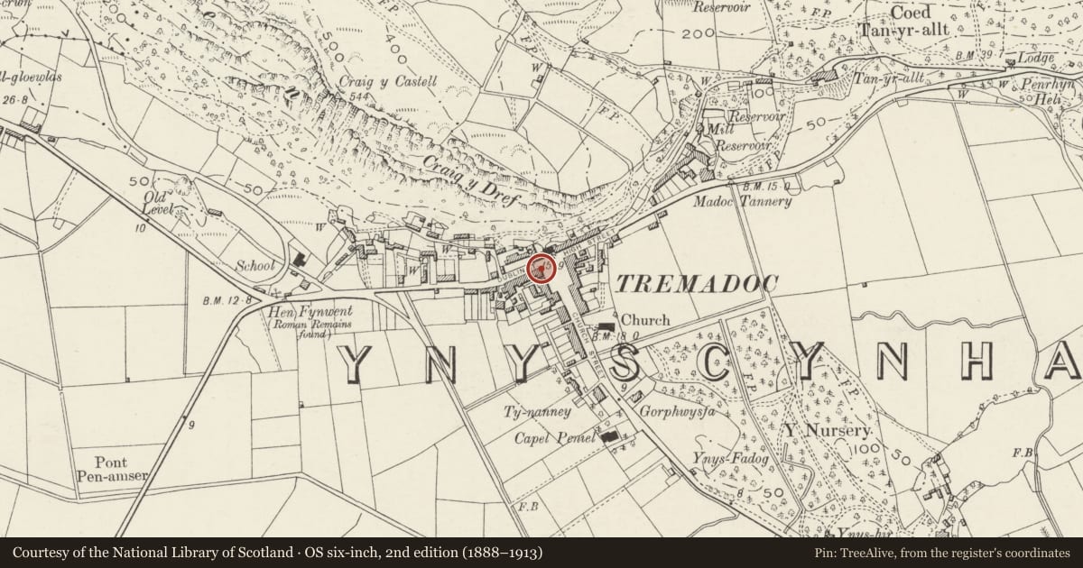 Ordnance Survey six-inch map, 2nd edition (1888–1913) covering the location of Awelon, Porthmadog, Gwynedd, with a pin at the register's coordinates