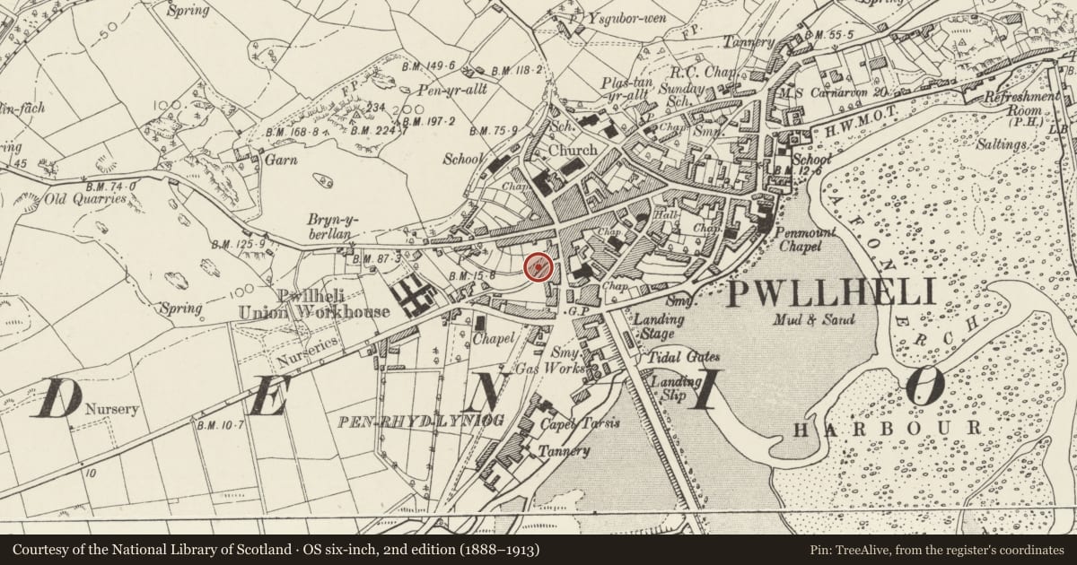 Ordnance Survey six-inch map, 2nd edition (1888–1913) covering the location of 9 Ala Uchaf, Pwllheli, Gwynedd, with a pin at the register's coordinates