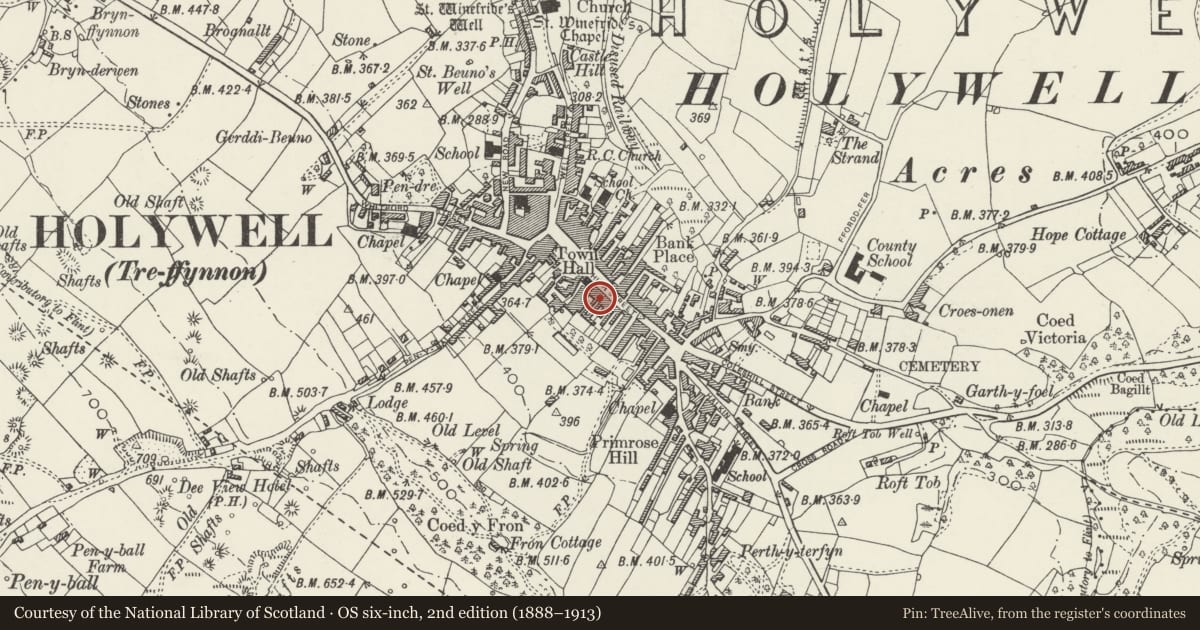 Ordnance Survey six-inch map, 2nd edition (1888–1913) covering the location of The Red Lion PH, Holywell, Flintshire, with a pin at the register's coordinates