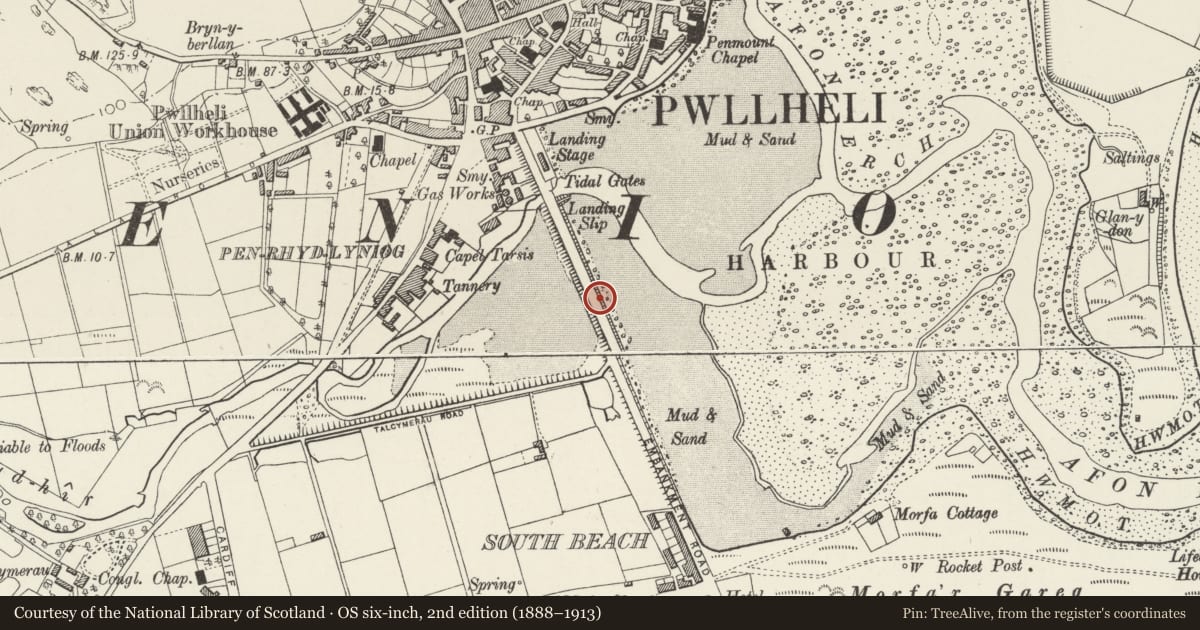Ordnance Survey six-inch map, 2nd edition (1888–1913) covering the location of War Memorial, Pwllheli, Gwynedd, with a pin at the register's coordinates