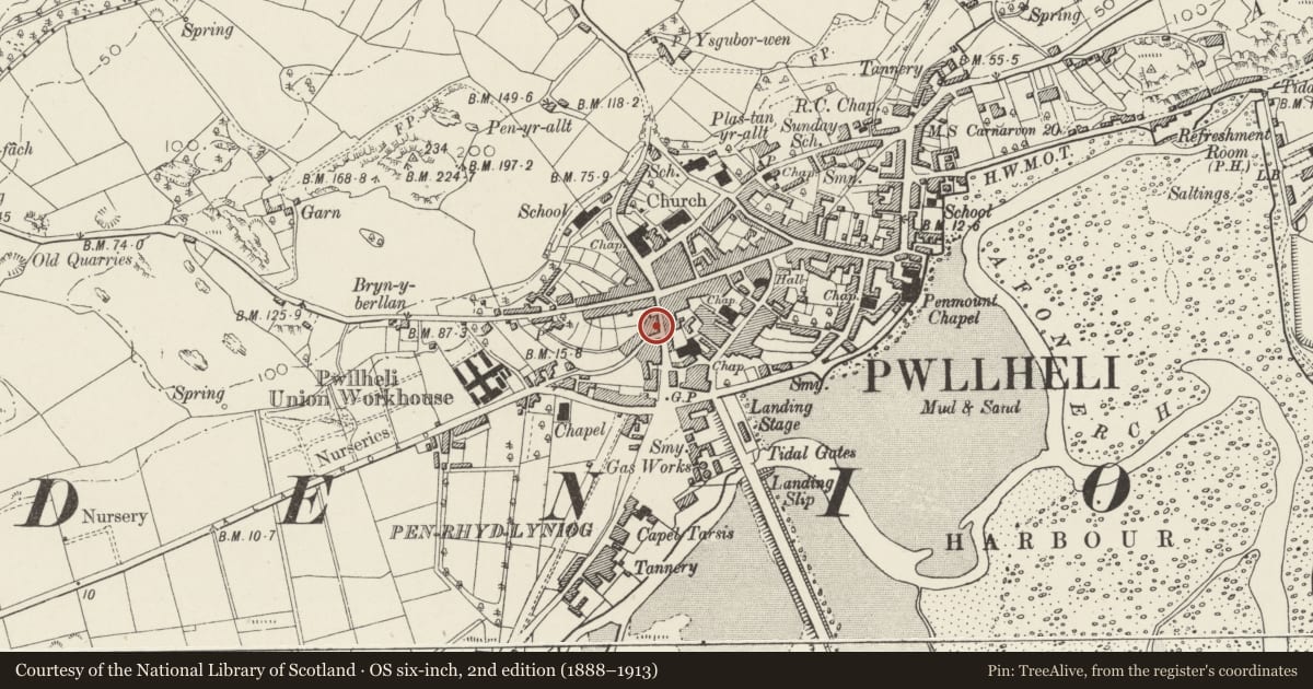 Ordnance Survey six-inch map, 2nd edition (1888–1913) covering the location of R.Gwynedd Evans & Son, Pwllheli, Gwynedd, with a pin at the register's coordinates