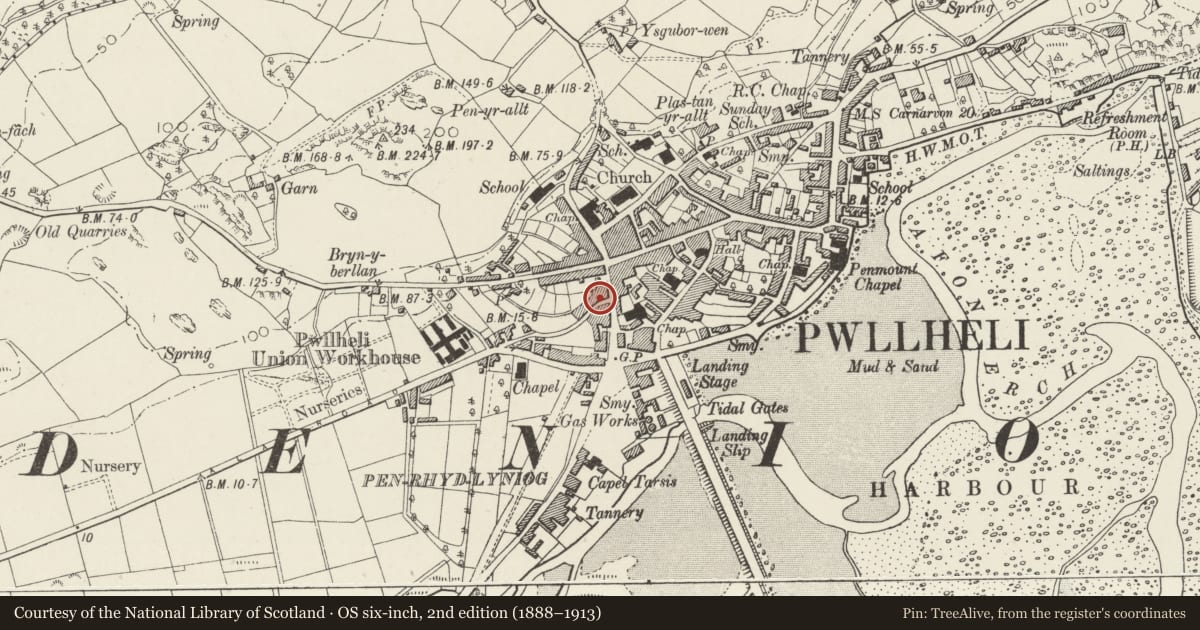 Ordnance Survey six-inch map, 2nd edition (1888–1913) covering the location of 3 Ala Uchaf, Pwllheli, Gwynedd, with a pin at the register's coordinates