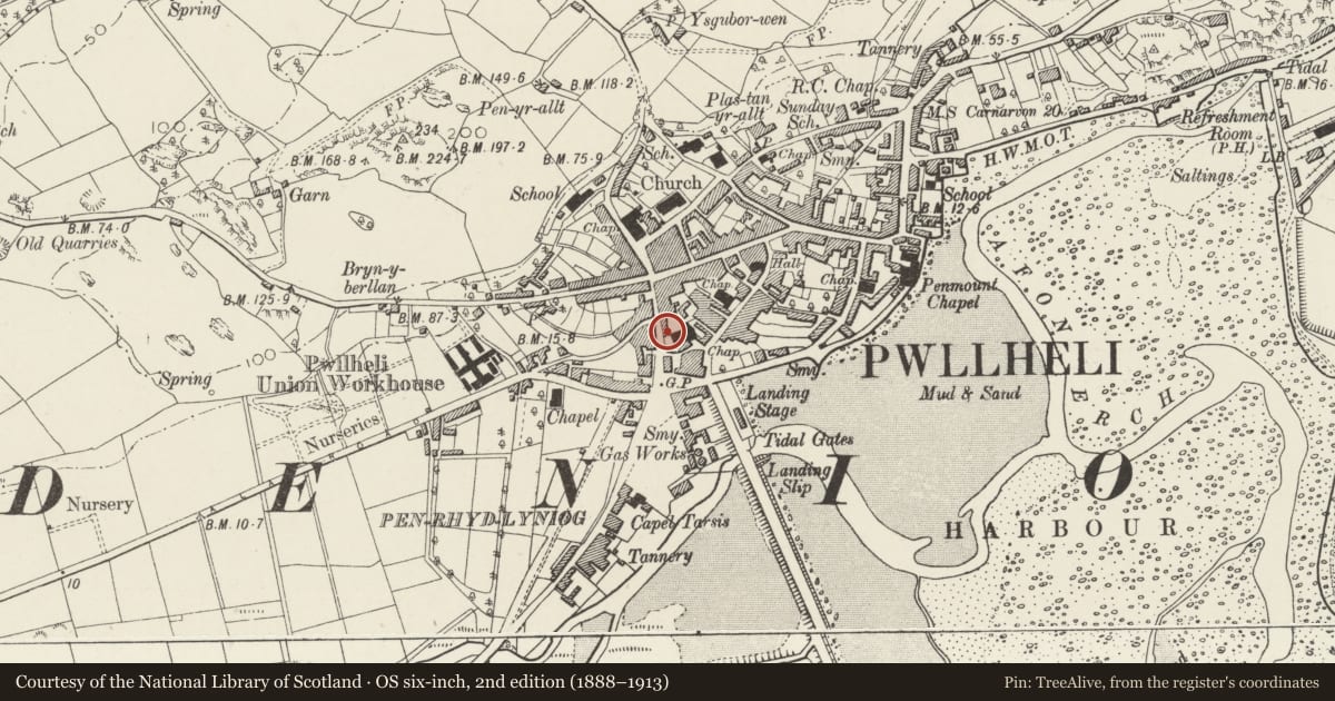 Ordnance Survey six-inch map, 2nd edition (1888–1913) covering the location of T.N.Williams, Pwllheli, Gwynedd, with a pin at the register's coordinates