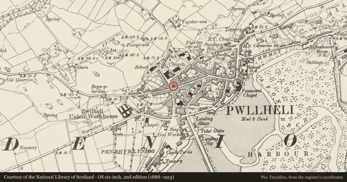 Ordnance Survey six-inch map, 2nd edition (1888–1913) covering the location of Parry & Sons, Pwllheli, Gwynedd, with a pin at the register's coordinates