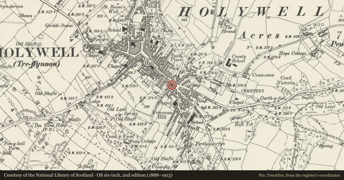 Ordnance Survey six-inch map, 2nd edition (1888–1913) covering the location of Vron Chambers (John Morris & Co.), Holywell, Flintshire, with a pin at the register's coordinates