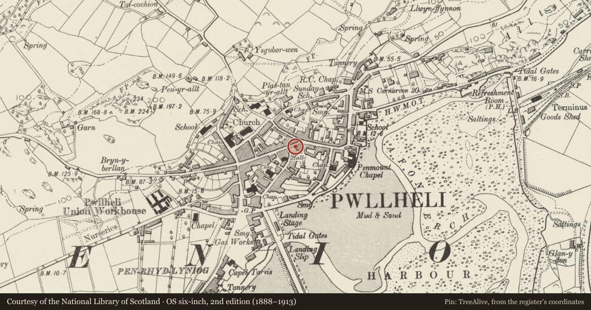 Ordnance Survey six-inch map, 2nd edition (1888–1913) covering the location of Williams Pwlldefaid, Pwllheli, Gwynedd, with a pin at the register's coordinates