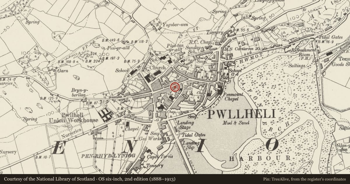 Ordnance Survey six-inch map, 2nd edition (1888–1913) covering the location of Chemist, Pwllheli, Gwynedd, with a pin at the register's coordinates