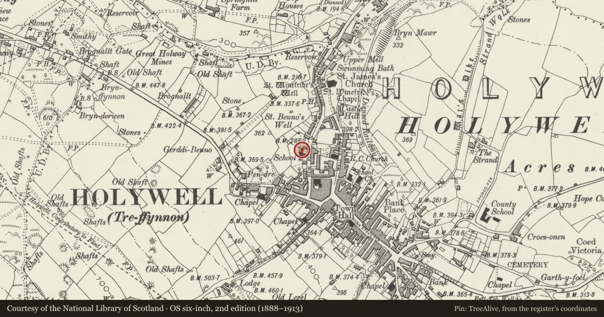 Ordnance Survey six-inch map, 2nd edition (1888–1913) covering the location of Pedestal & Statue of Christ (outside the former St. Winefride's school), Holywell, Flintshire, with a pin at the register's coordinates