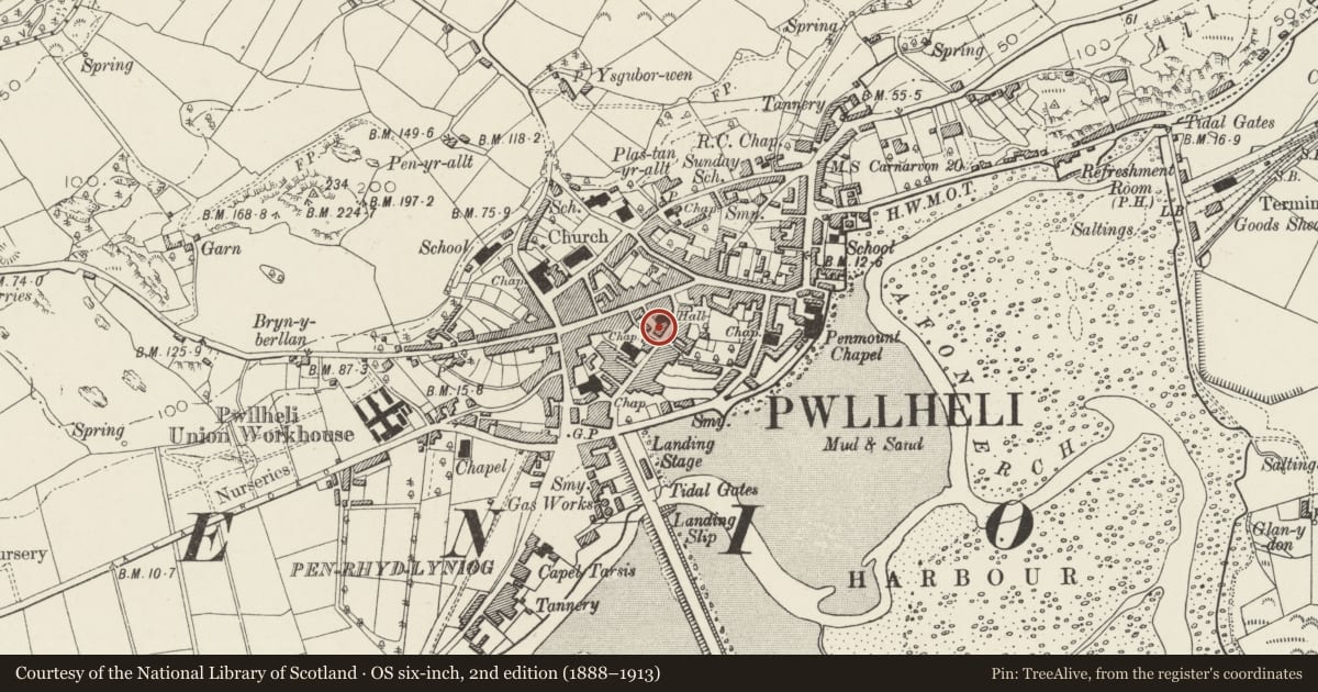 Ordnance Survey six-inch map, 2nd edition (1888–1913) covering the location of Brian Hughes, Pwllheli, Gwynedd, with a pin at the register's coordinates