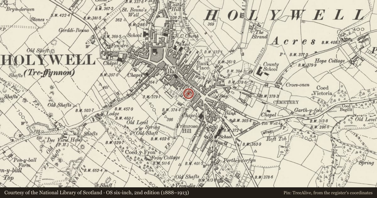 Ordnance Survey six-inch map, 2nd edition (1888–1913) covering the location of 1, Holywell, Flintshire, with a pin at the register's coordinates